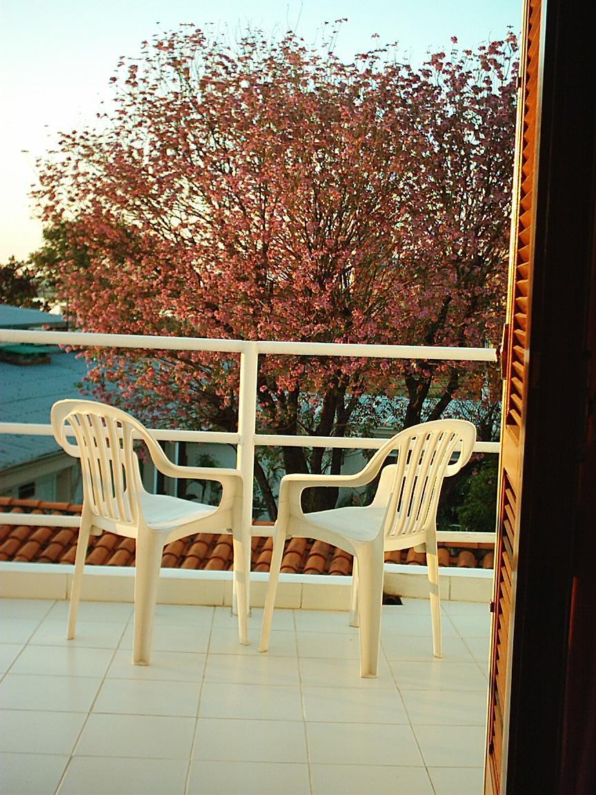 Hotel Palmas Del Sol Asuncion Bagian luar foto